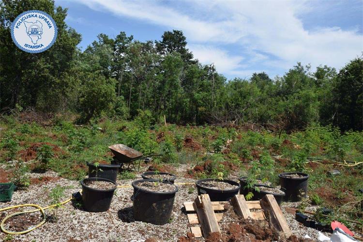 Slika /2024/droga žbandaj3.jpg